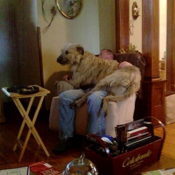 Meet your Posher, Barb - Picture 1 of 1